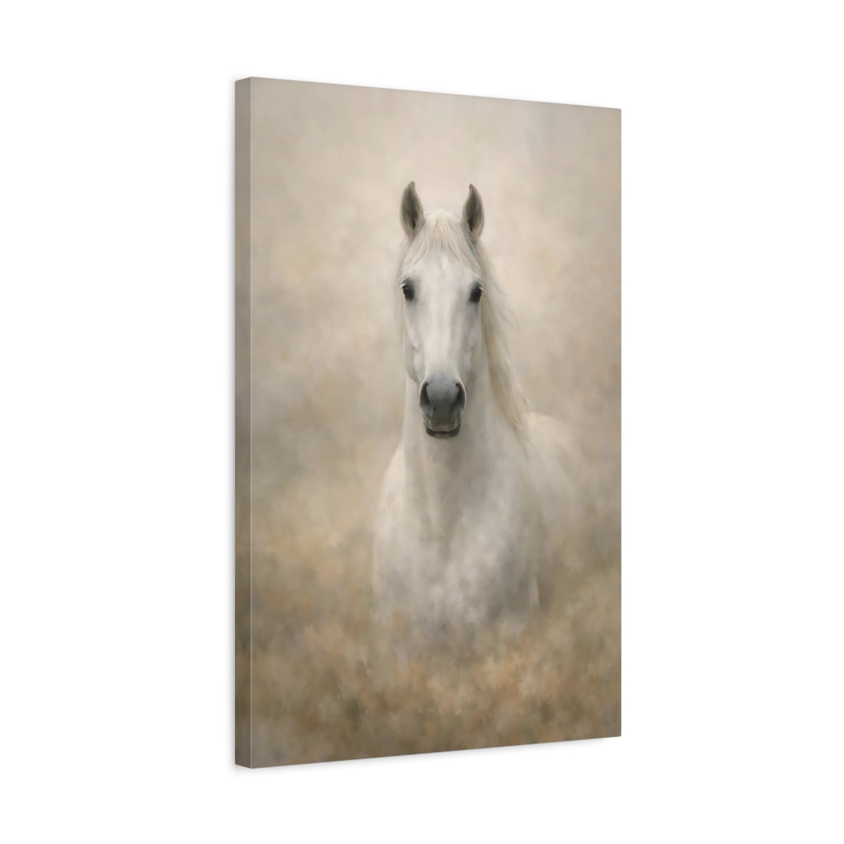 Animals White Horse - Canvas Wall Art Print