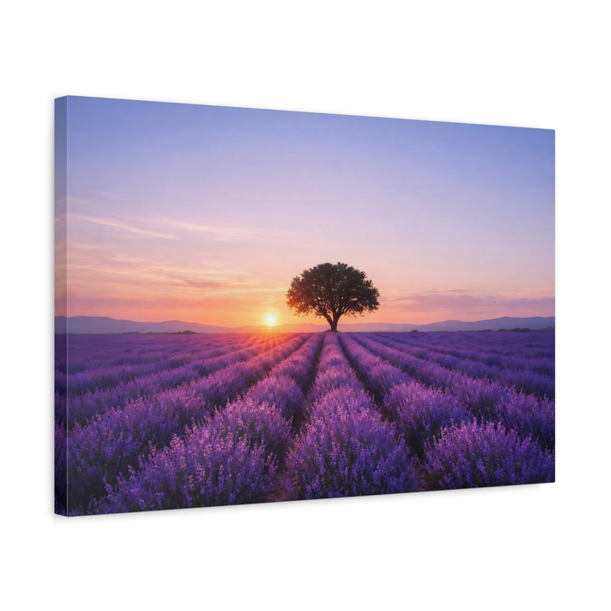 Nature Lavender Field - Canvas Wall Art Print