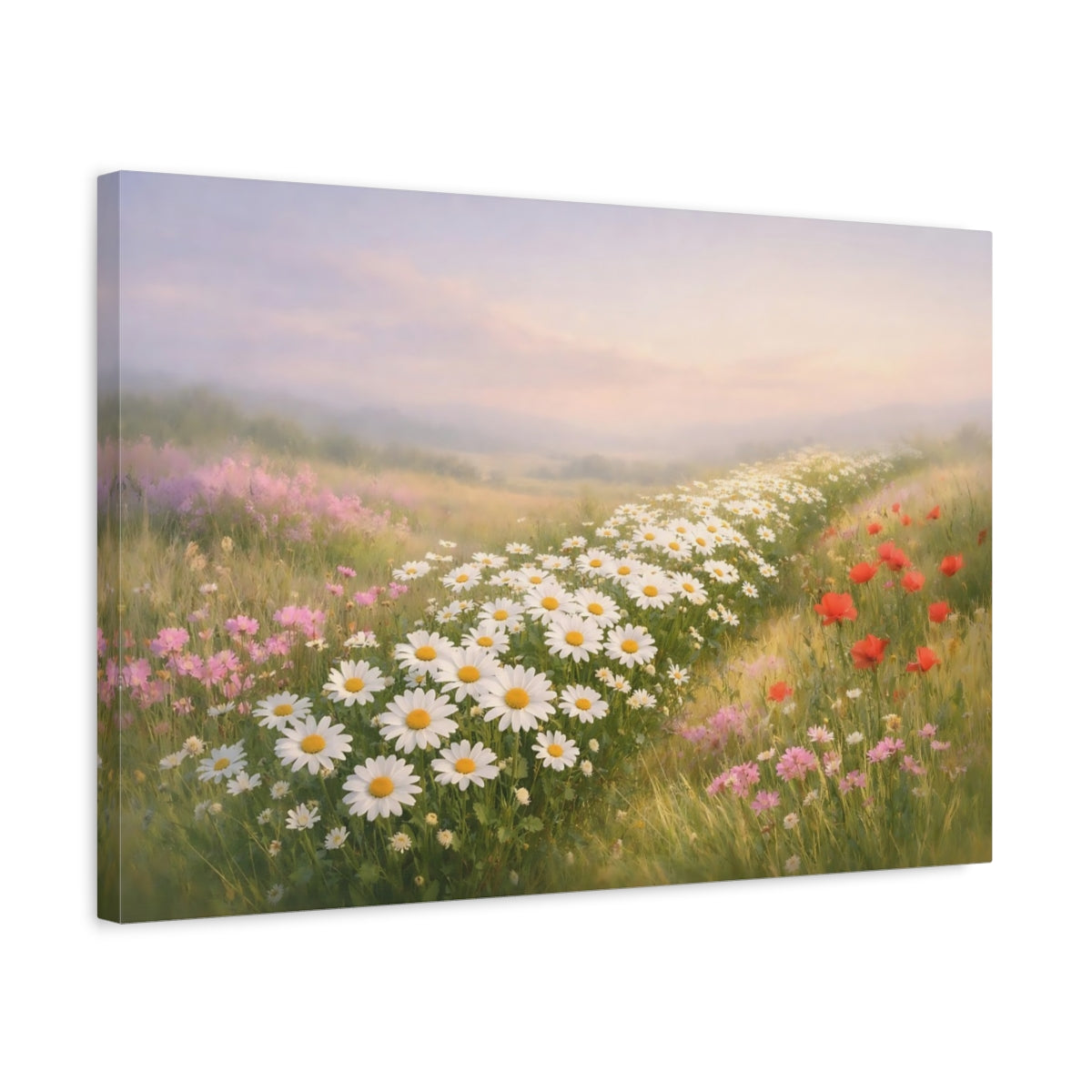 Nature Flower Field Daisies - Canvas Wall Art Print
