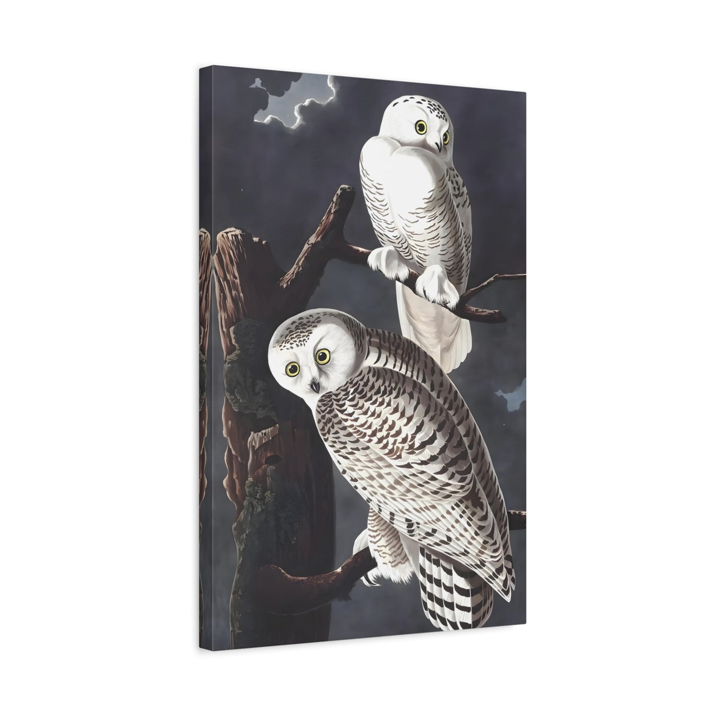 John James Audubon Snowy Owl - Canvas Wall Art Print Reproduction
