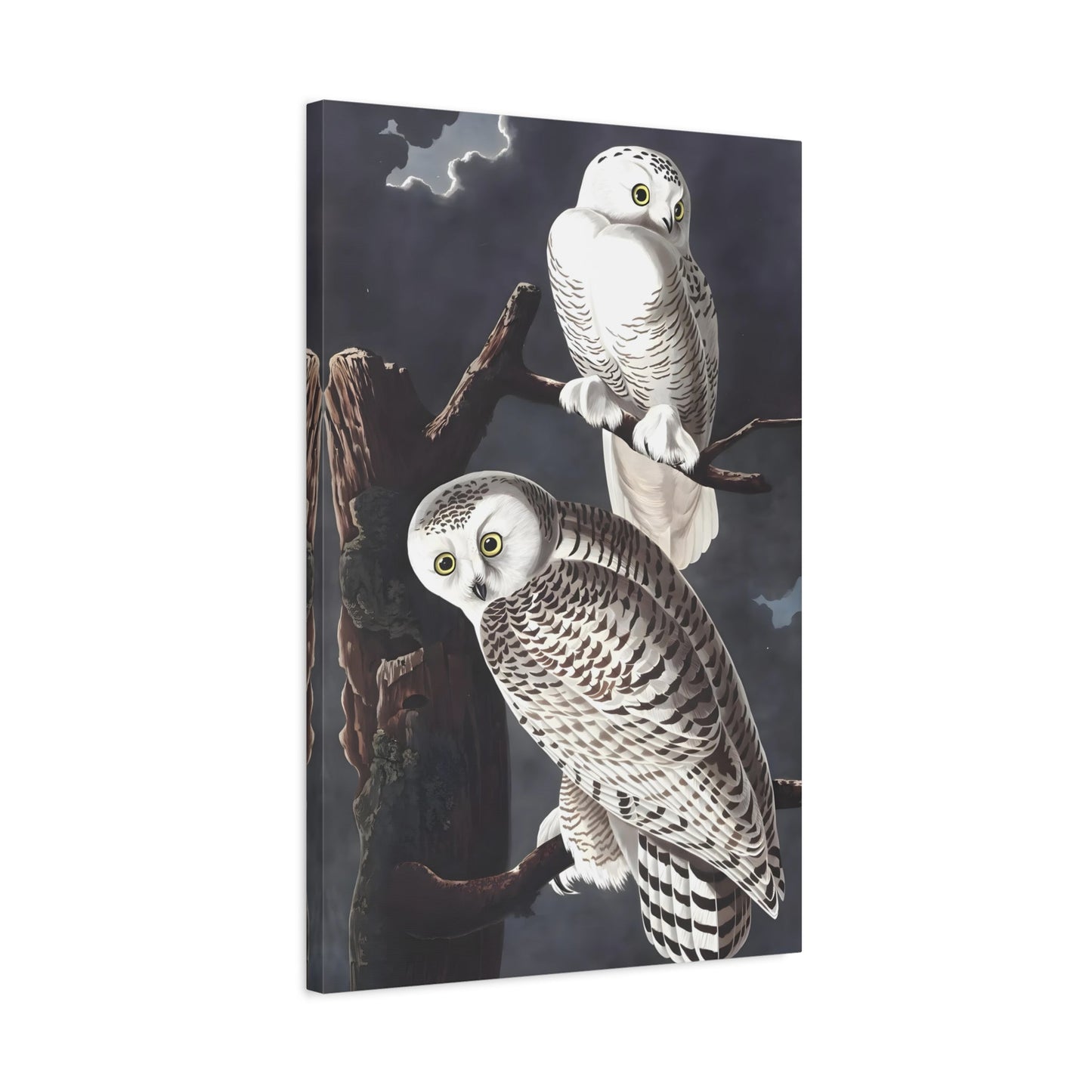John James Audubon Snowy Owl - Canvas Wall Art Print Reproduction