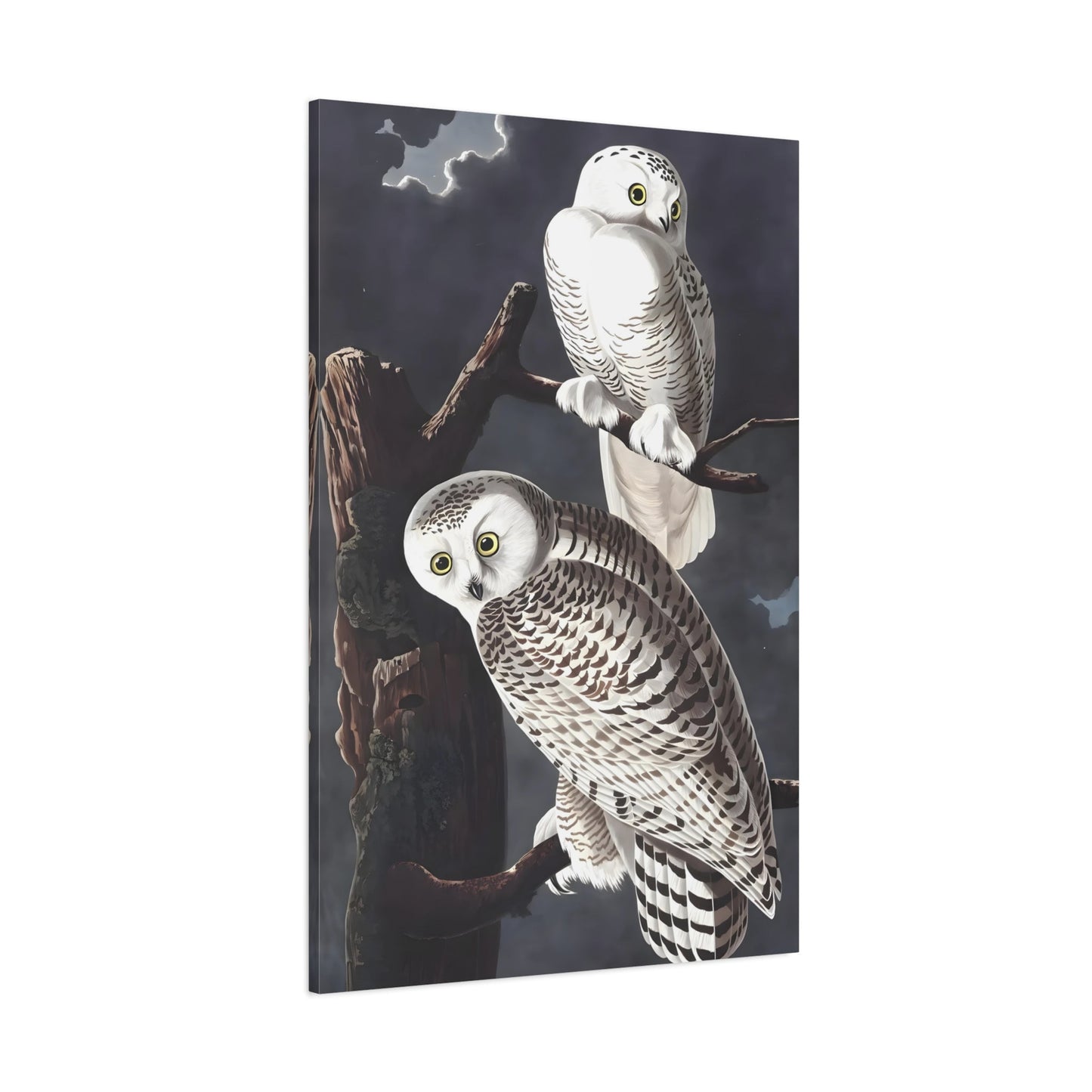 John James Audubon Snowy Owl - Canvas Wall Art Print Reproduction