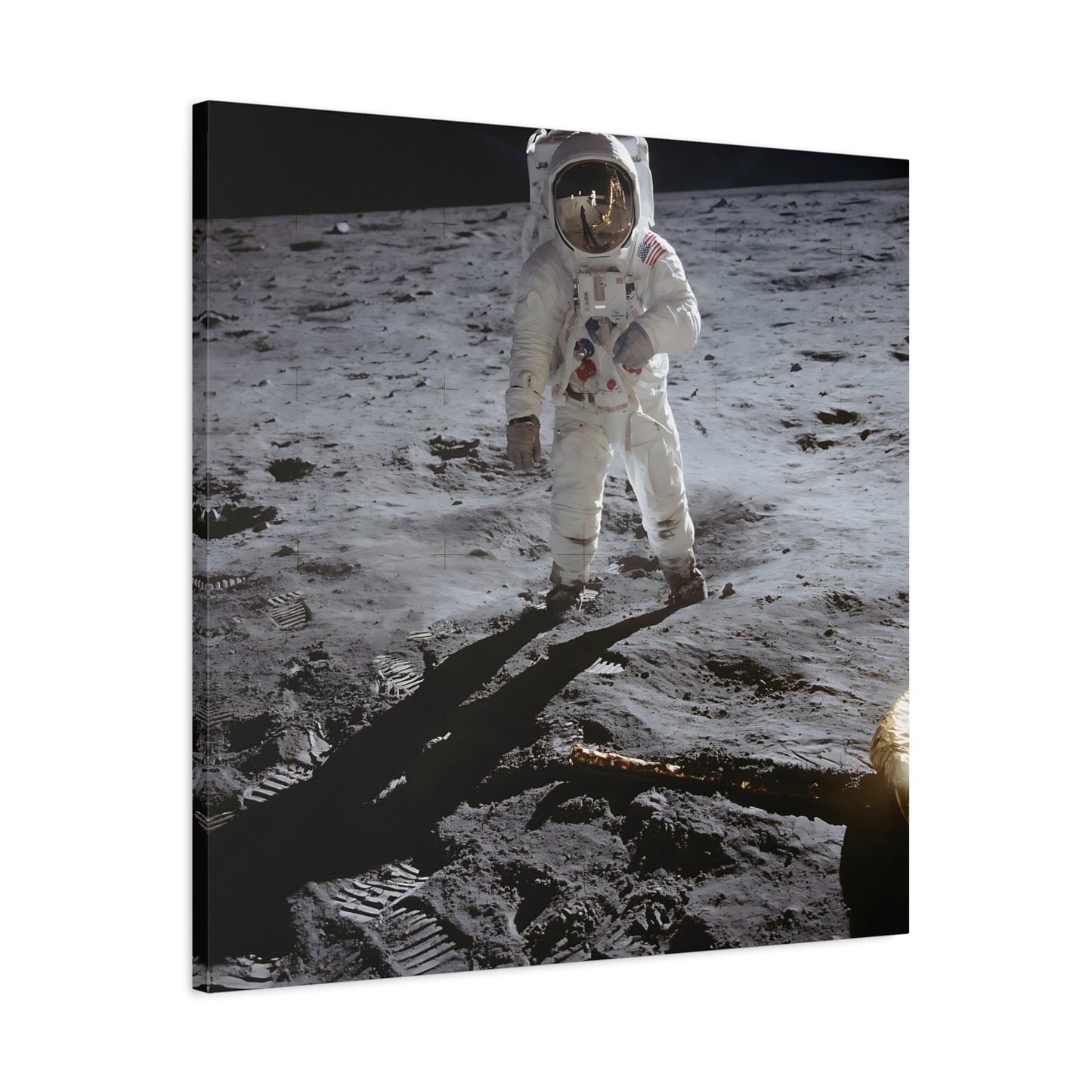 NASA Astronaut Canvas Wall Art - Mission Apollo Space Lovers