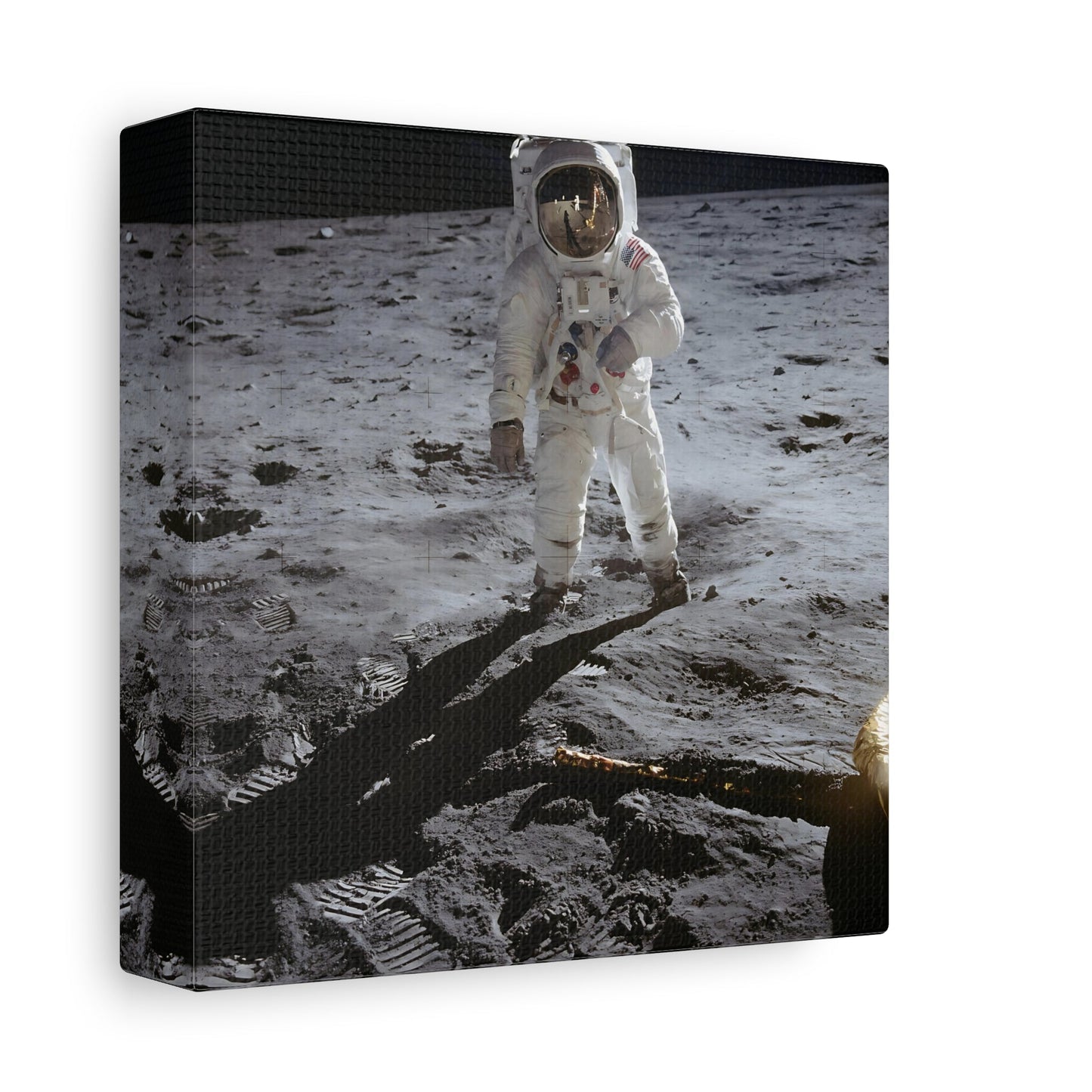 NASA Astronaut Canvas Wall Art - Mission Apollo Space Lovers