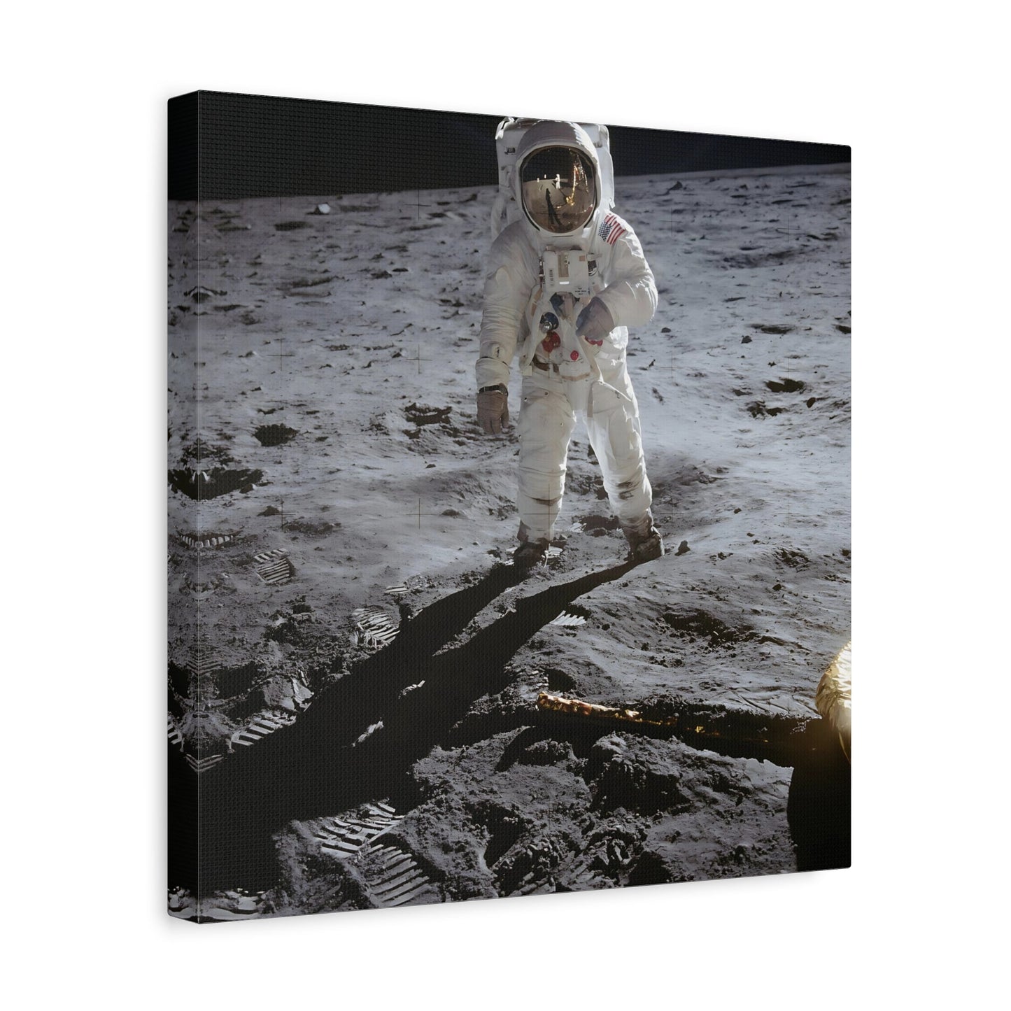 NASA Astronaut Canvas Wall Art - Mission Apollo Space Lovers