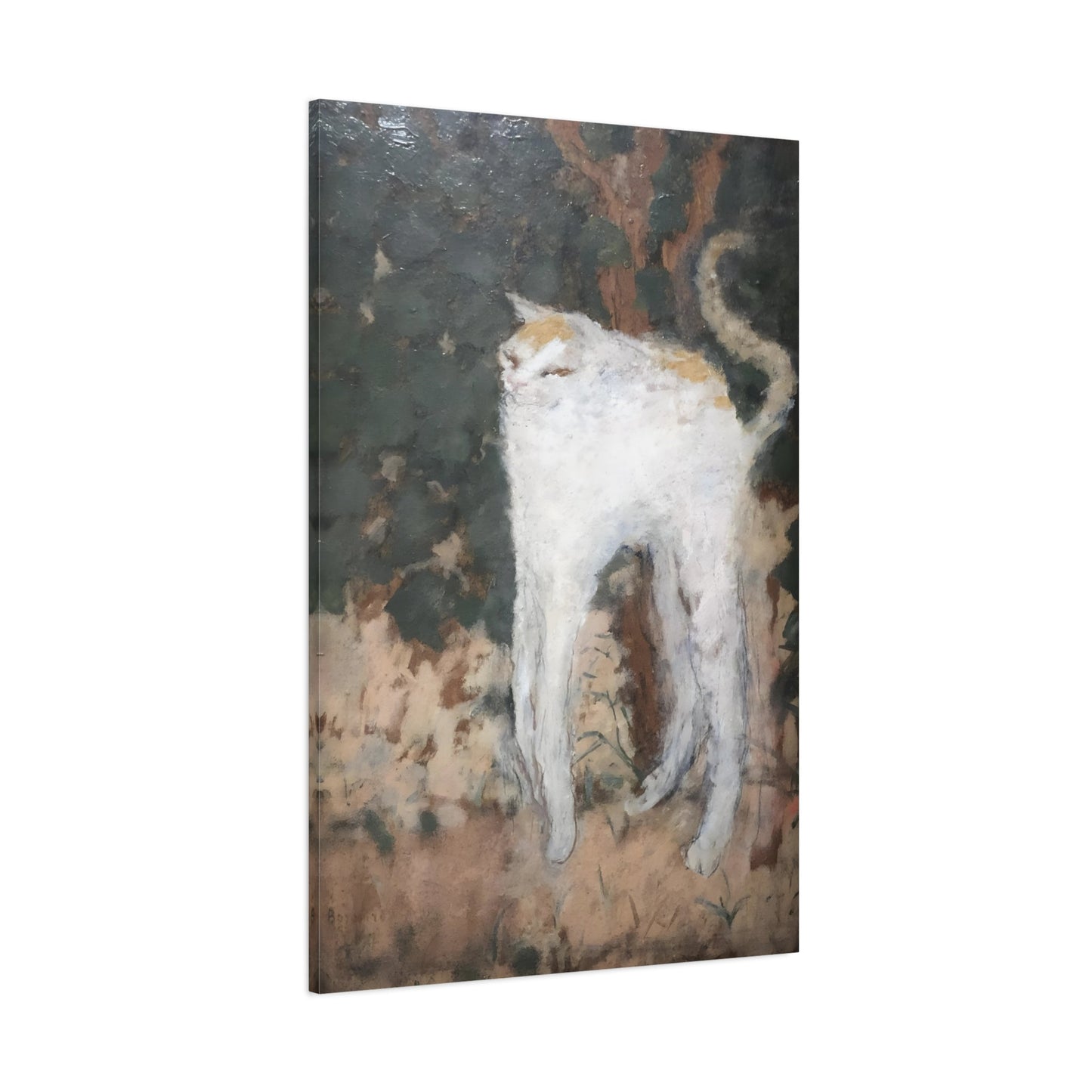 Pierre Bonnard White Cat - Canvas Art Print Animal Painting