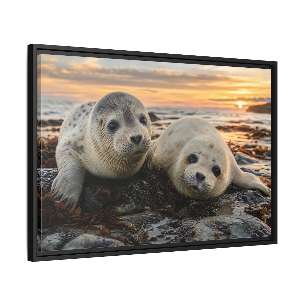 Side Mockup 14. Animals Baby Seals Baby Seals Sunset shown as stretched canvas wall art