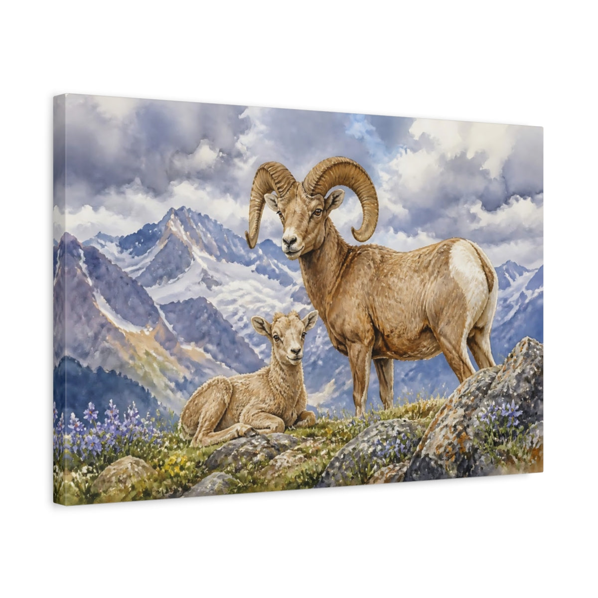 Side Mockup 3. Animals Bighorn Sheep In Alps shown as canvas print
