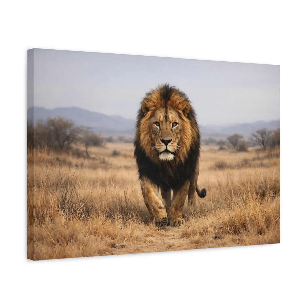 Side Mockup 3. Animals Lion Brown And Gold shown as stretched canvas wall art