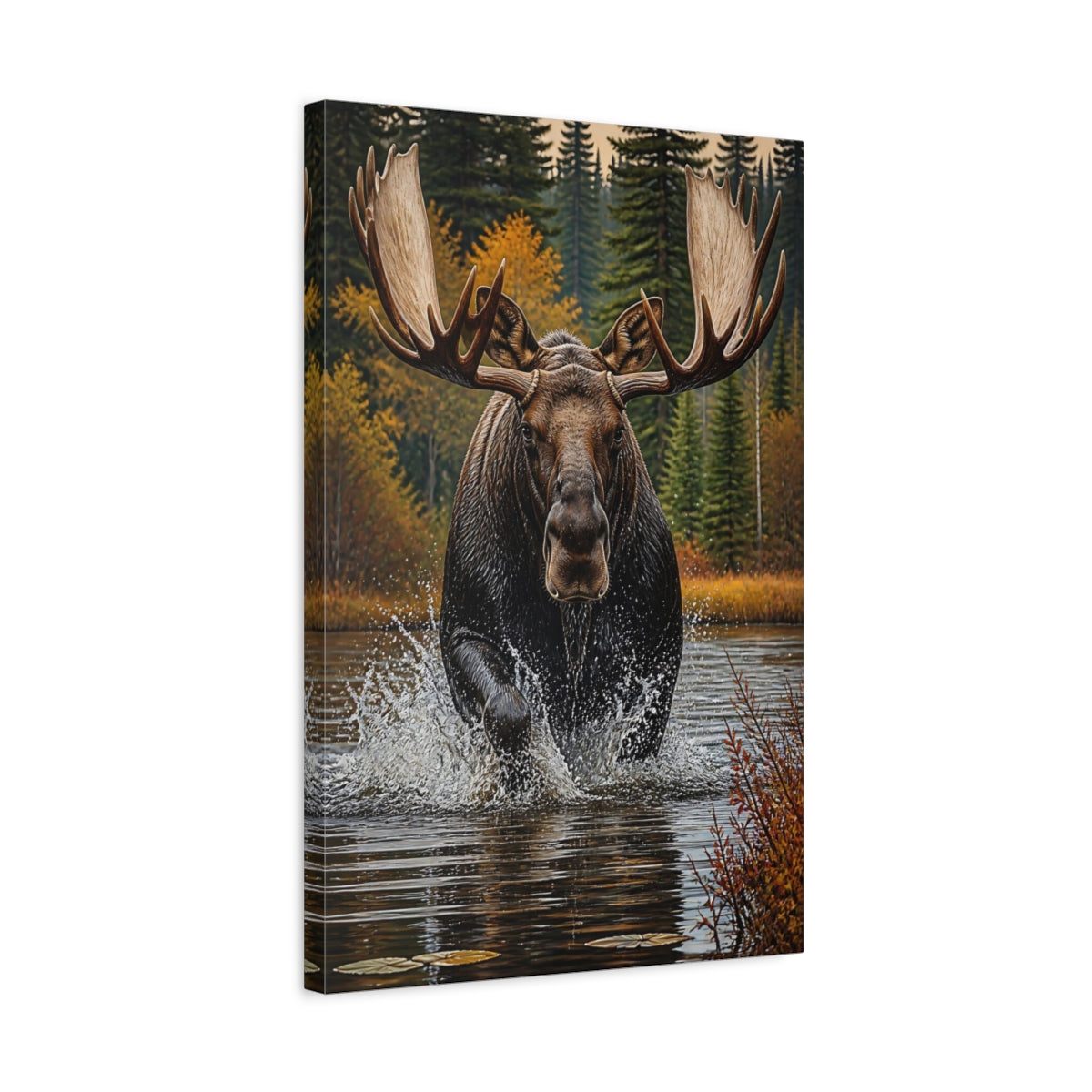 Side Mockup 3. Animals Majestic Bull Moose Splash shown as canvas print