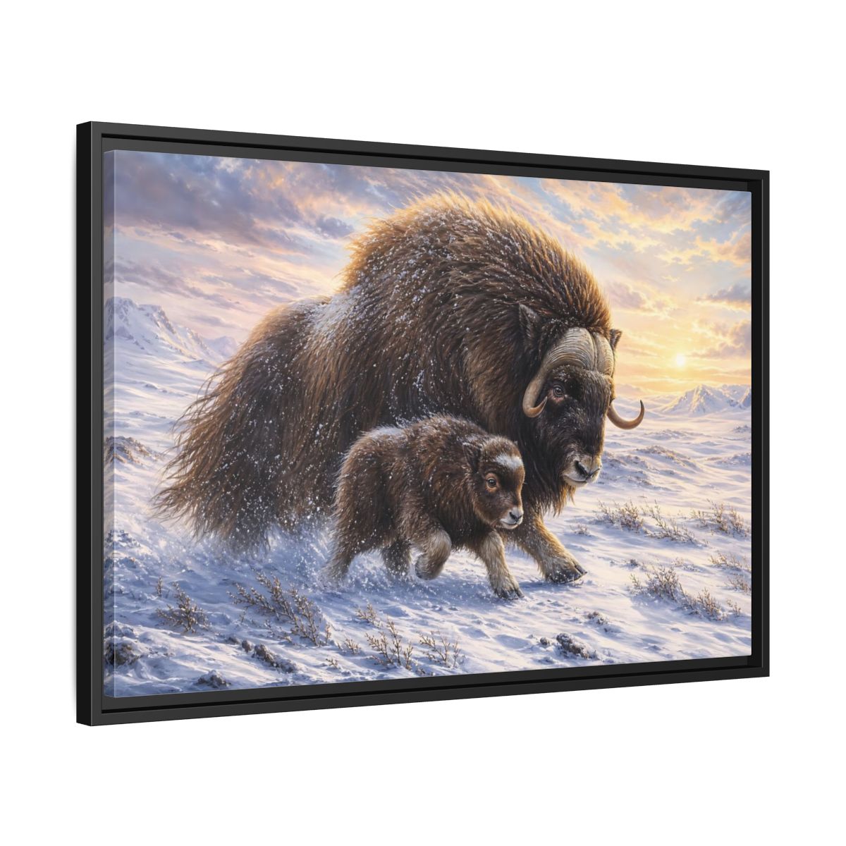 Side Mockup 14. Animals Musk Oxen Brown And White shown as stretched canvas wall art
