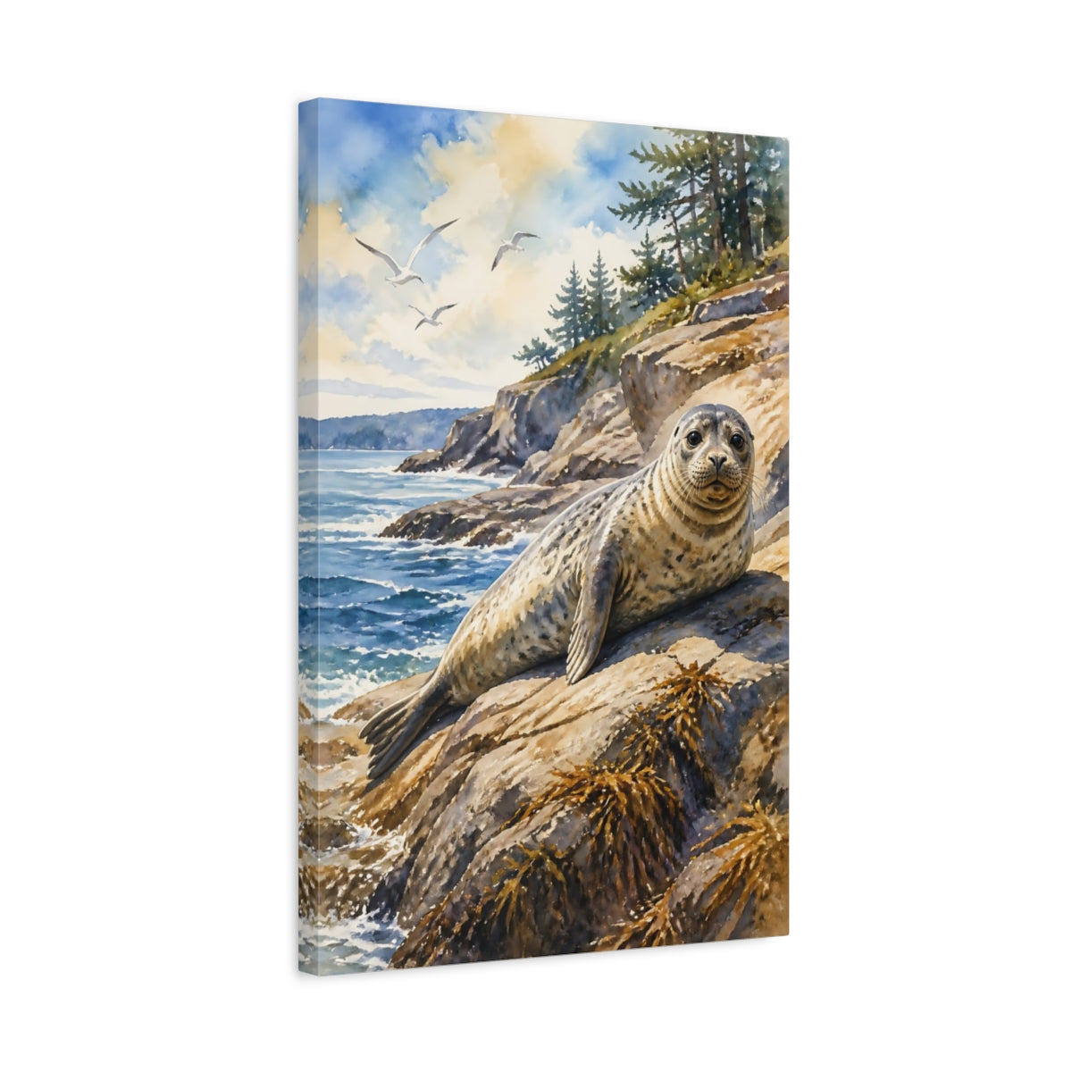 Side Mockup 3. Animals Sunlit Harbor Seal On Rocks shown as canvas print