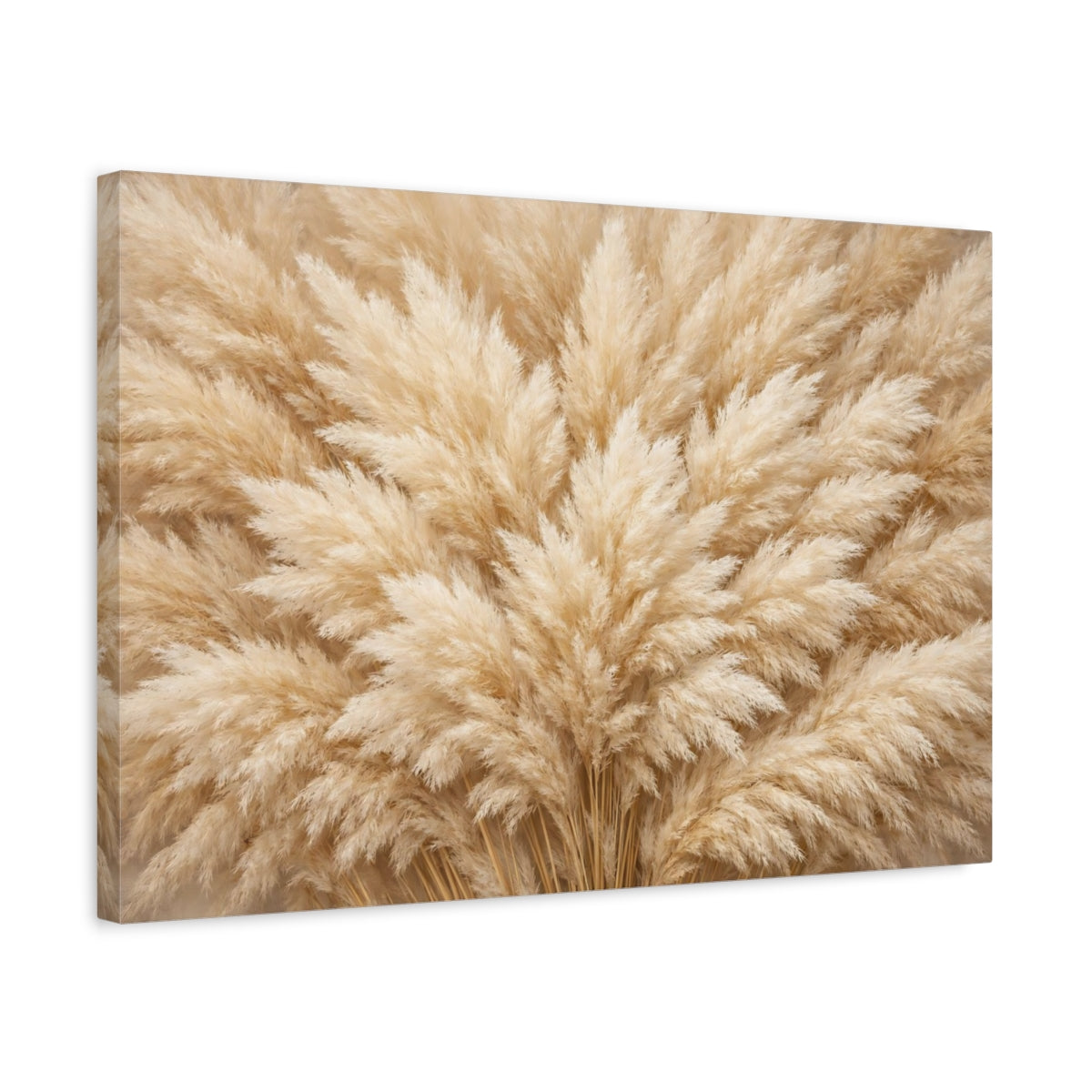 Side Mockup 3. Nature Pampas Grass Neutral Pampas Grass shown as stretched canvas wall art