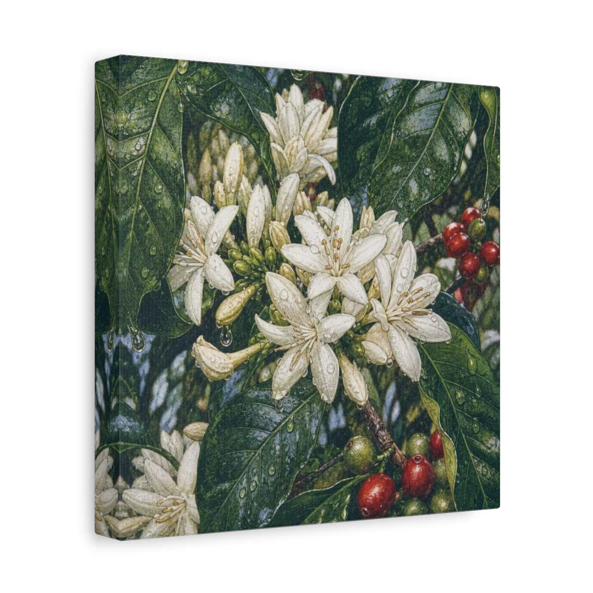 Side Mockup 9. Dewy Coffee Blossoms shown as canvas print