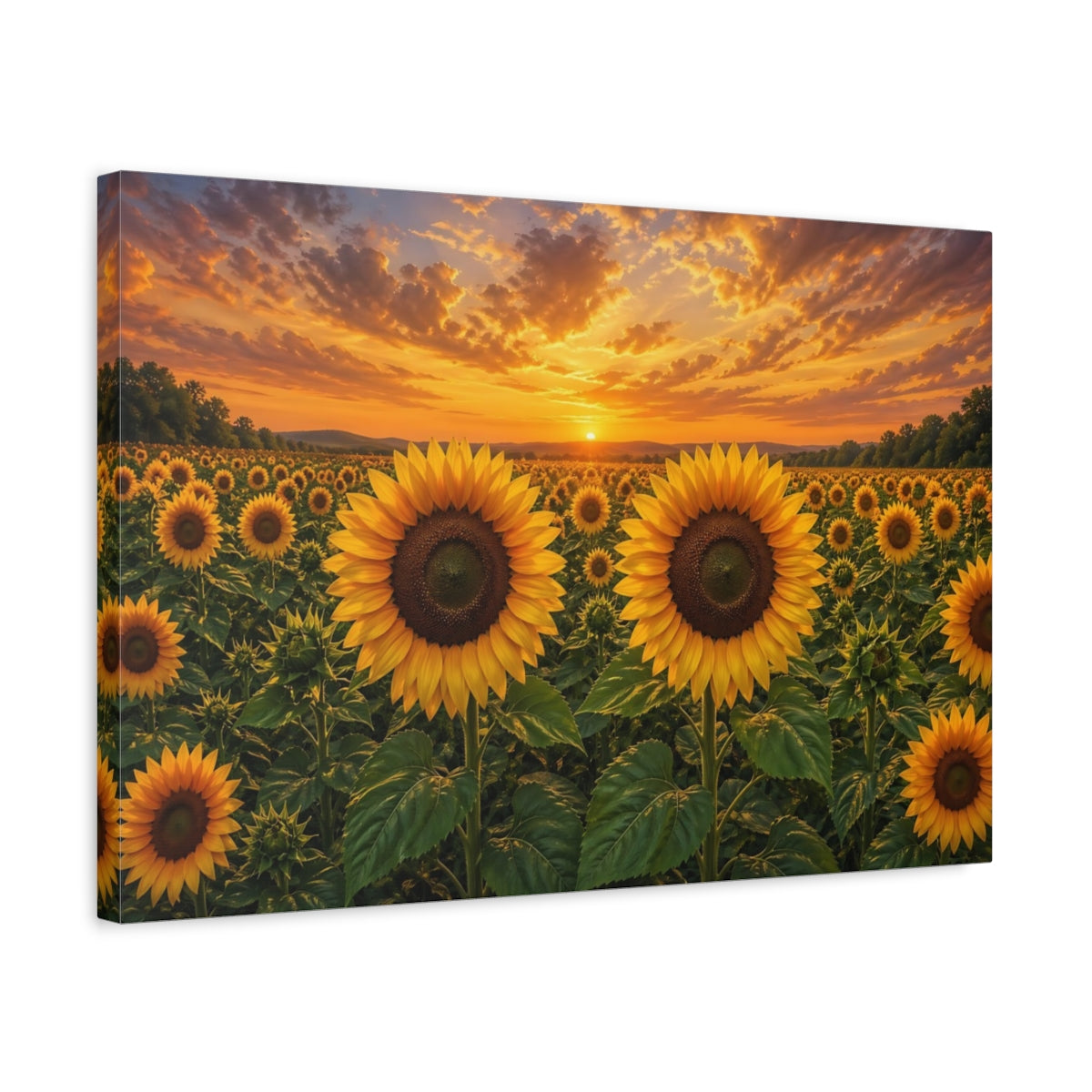 Side Mockup 3. Floral Sunflowers Yellow And Orange shown as stretched canvas wall art