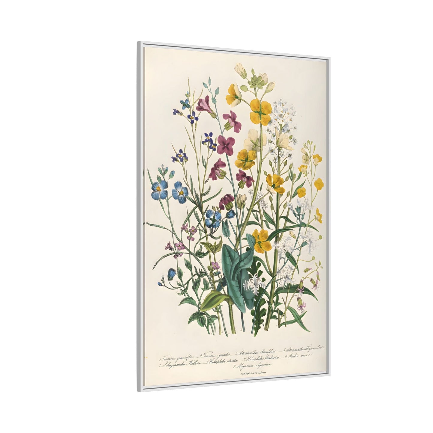 Jane Loudon Buttercups Canvas Wall Art Print - Forget Me Nots Flowers - YesArtYes