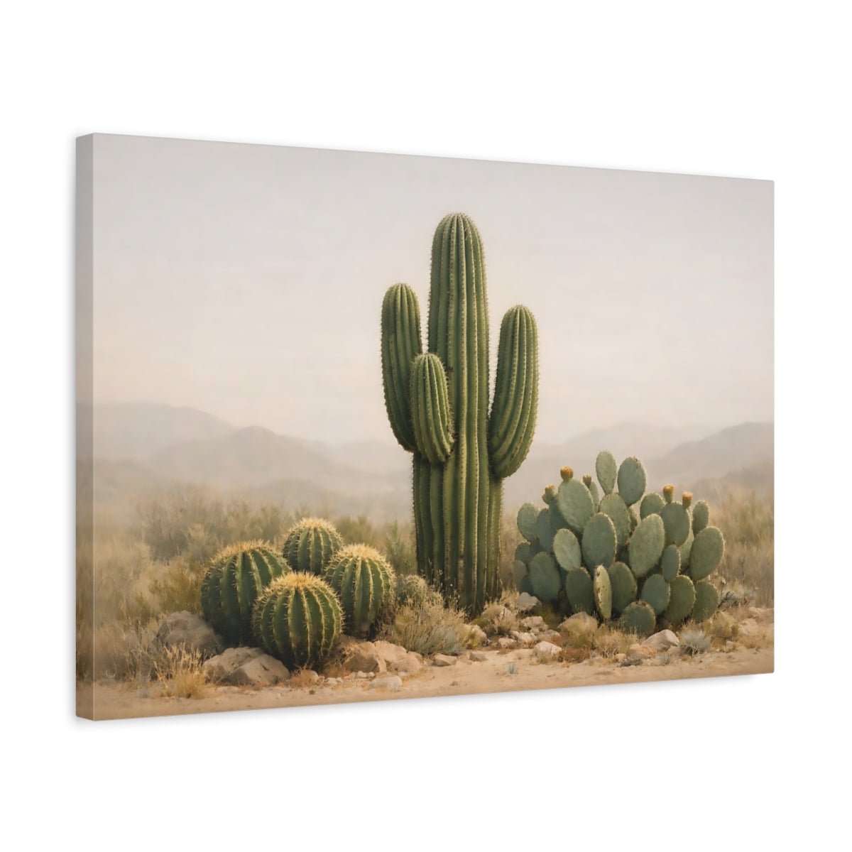 Nature Cacti Desert Landscape - Canvas Wall Art Print - YesArtYes