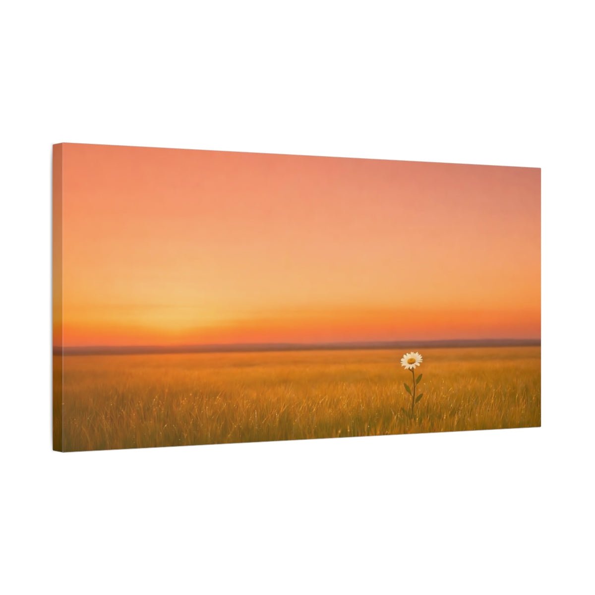 Nature Daisy Flower Sunset Field - Canvas Wall Art Print - YesArtYes