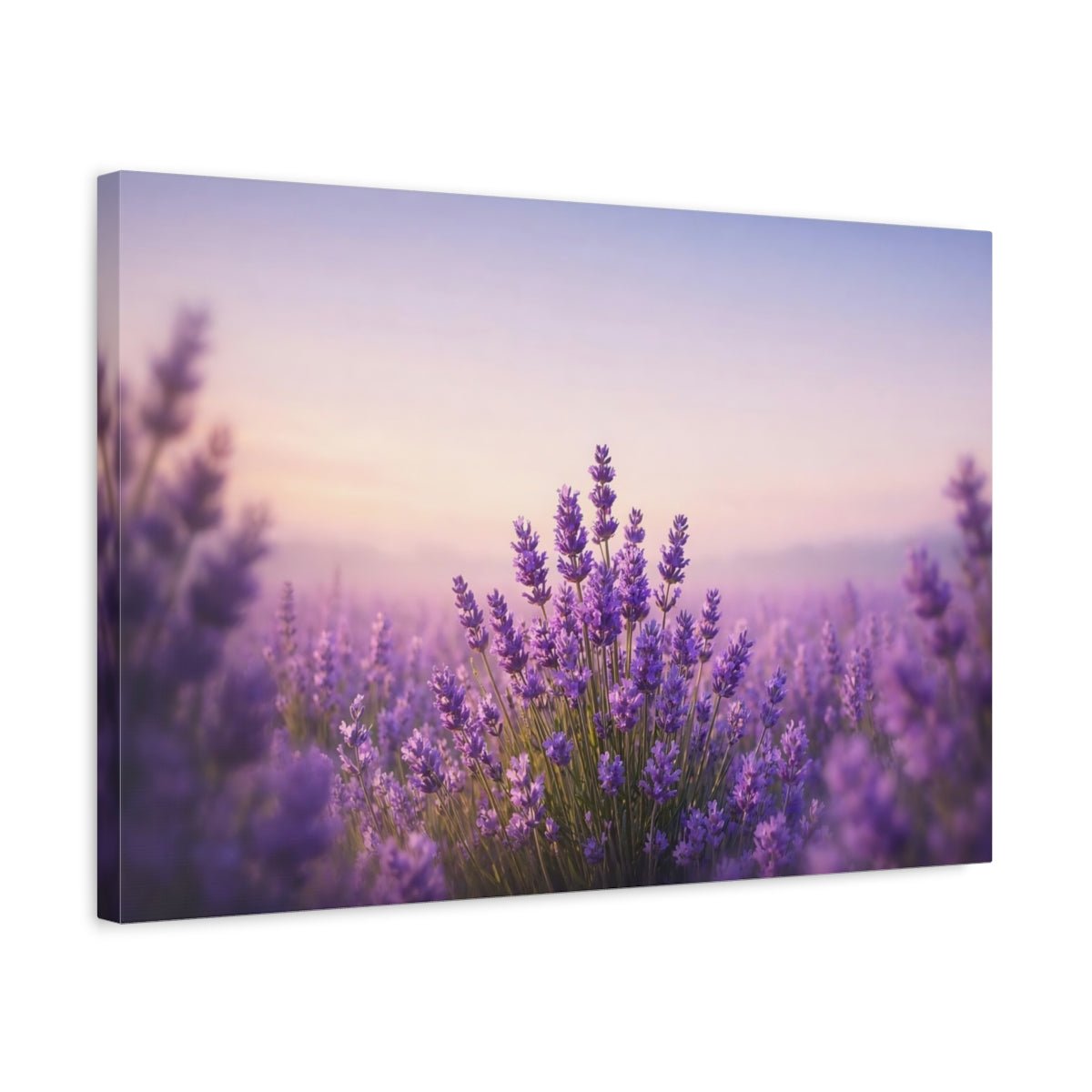 Nature Lavender Field Purple - Canvas Wall Art Print - YesArtYes