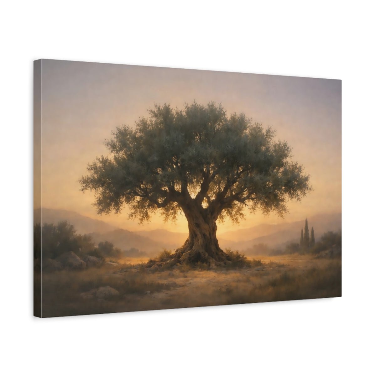 Nature Olive Tree Golden Landscape - Canvas Wall Art Print - YesArtYes