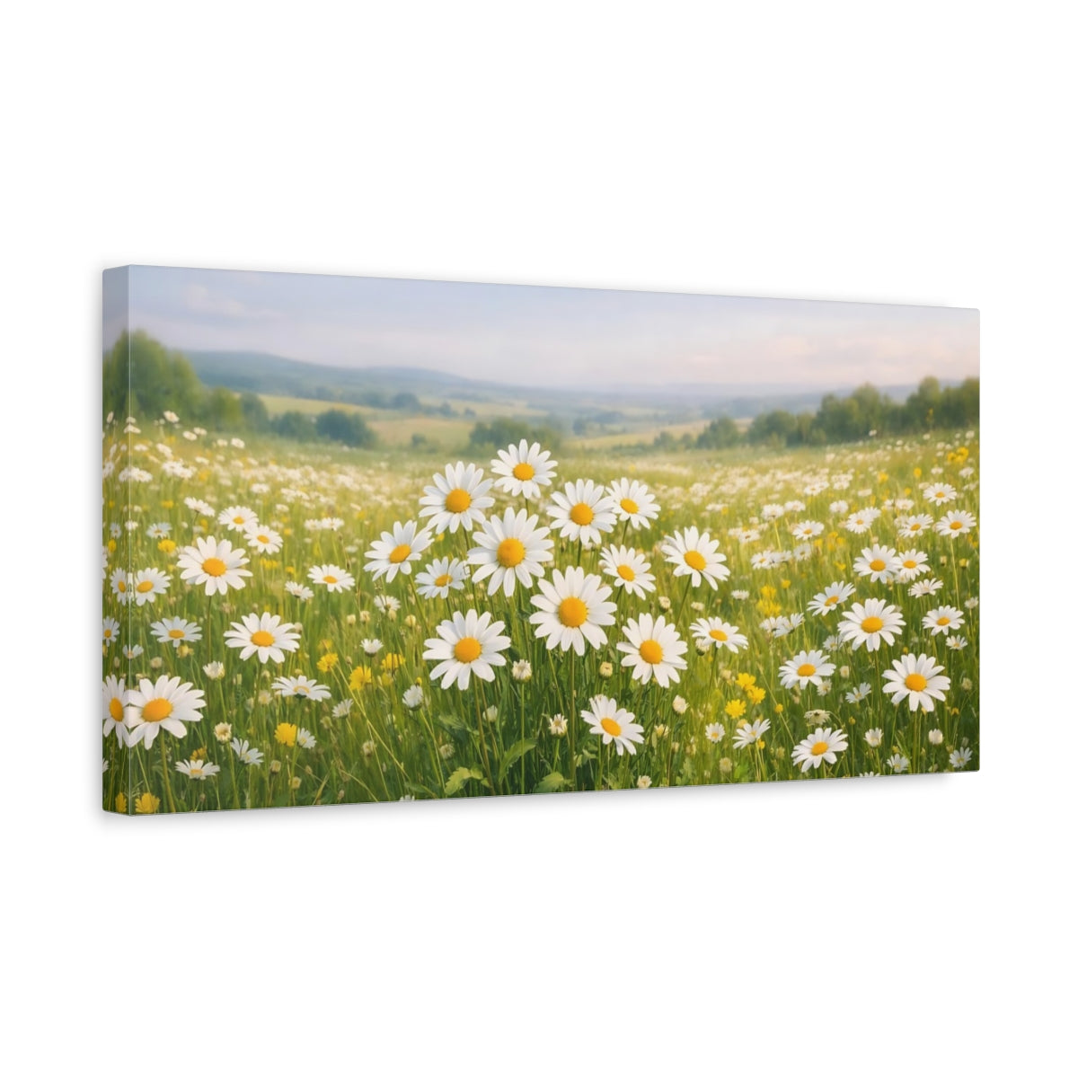 Side Mockup 3. Nature Daisy Field Daisy Field shown as stretched canvas wall art
