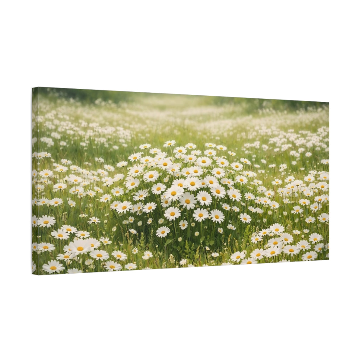 Side Mockup 2. Nature Daisies White Daisies Field shown as stretched canvas wall art