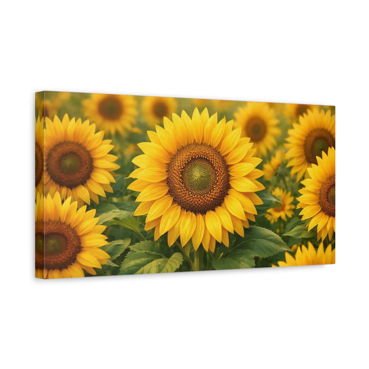 Side Mockup 3. Nature Sunflower Field Yellow Sunflower shown as stretched canvas wall art