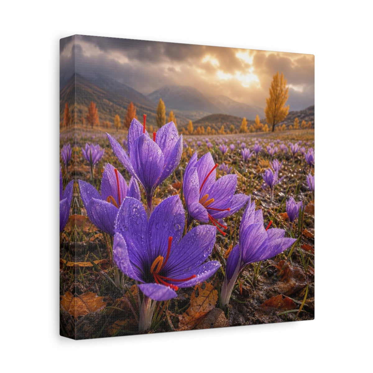 Side Mockup 9. Saffron Crocuses At Dawn shown as canvas print