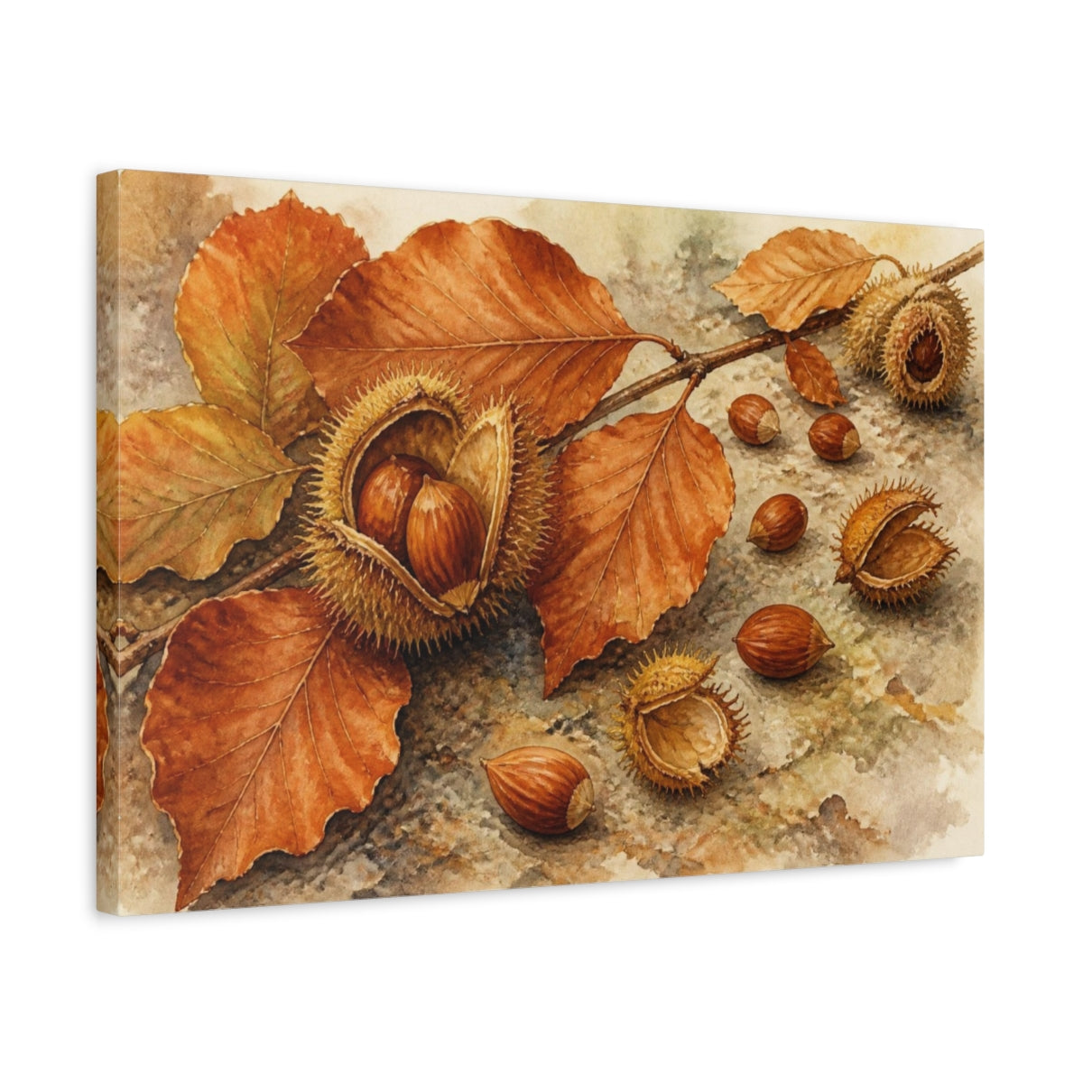Side Mockup 3. Vintage Botanical Beechnuts shown as canvas print