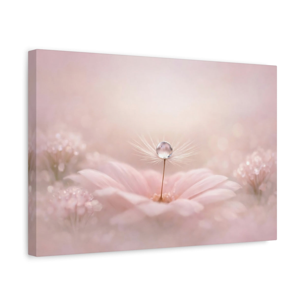 Toile murale : Goutte d'eau naturelle, texture mate douce et neutre