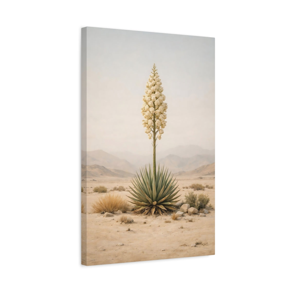 Nature Yucca Plant Desert Art - Canvas Wall Art Print
