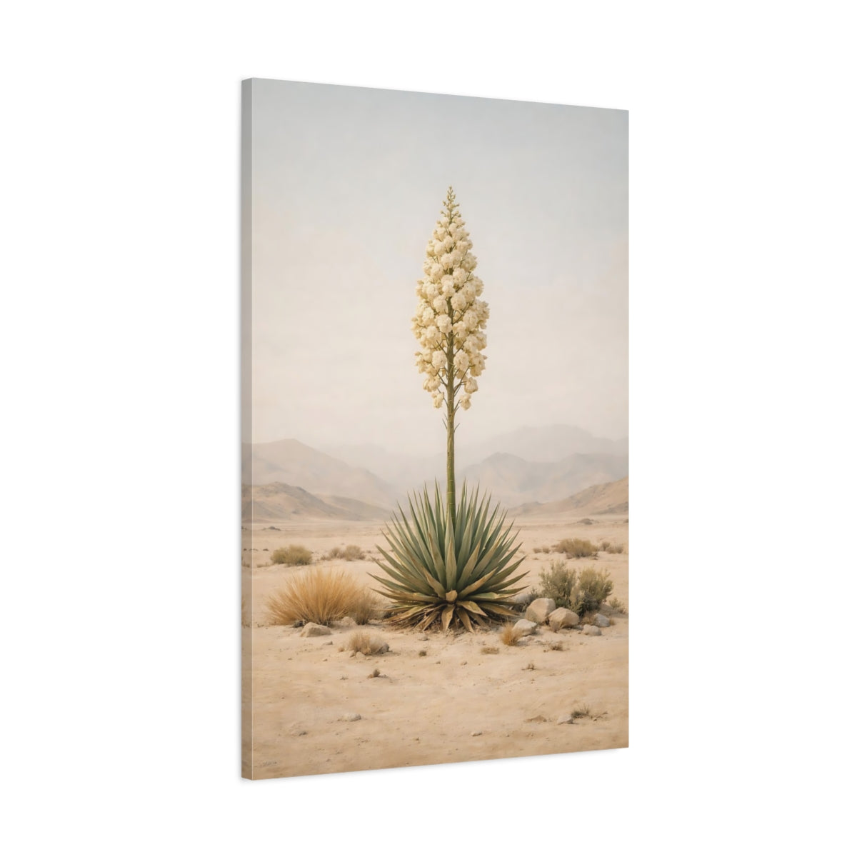Nature Yucca Plant Desert Art - Canvas Wall Art Print