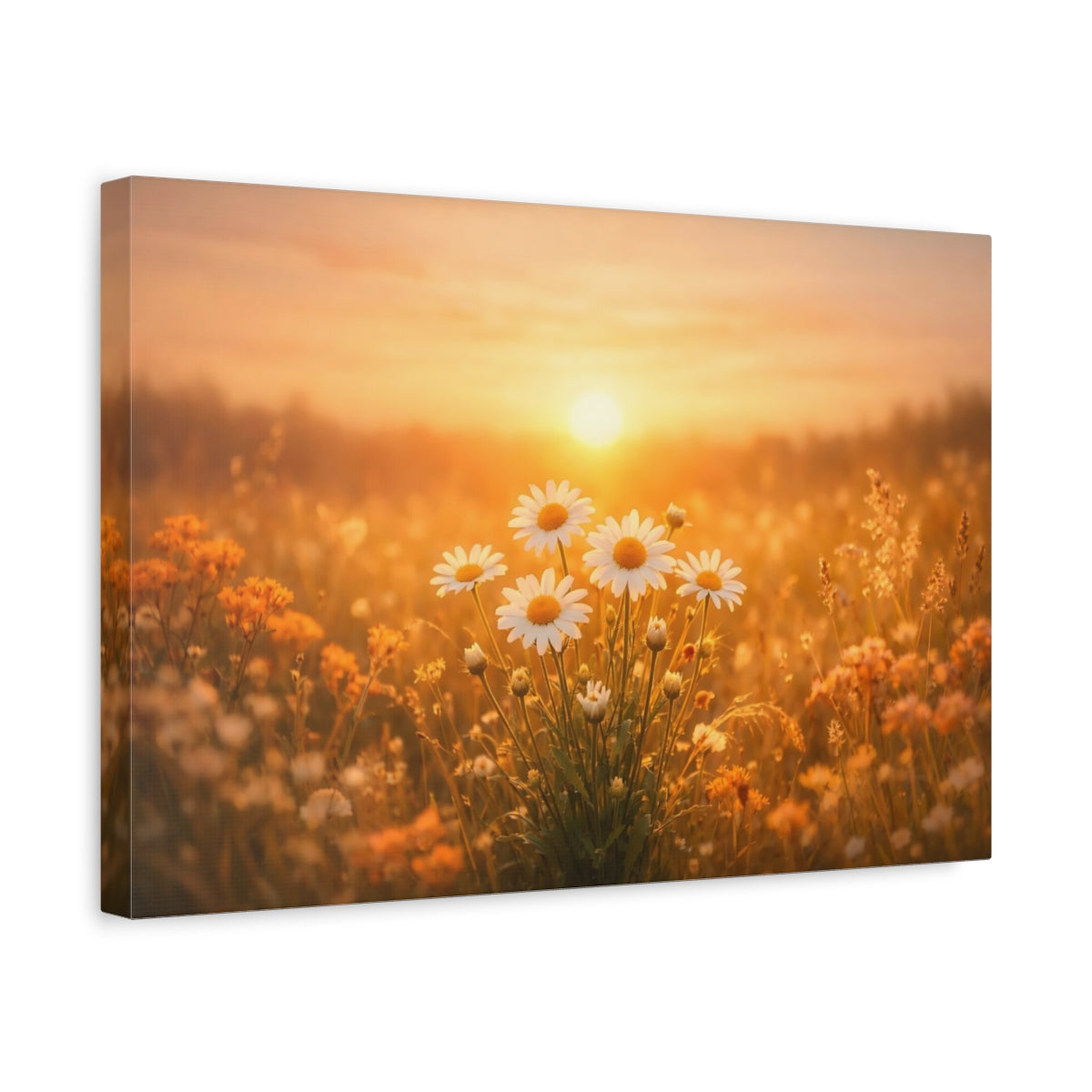 Golden Glow Sunset Flowers Daisies Floral - Canvas Wall Art Print