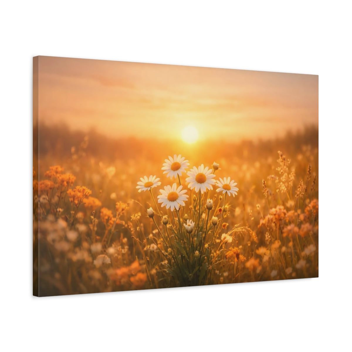 Golden Glow Sunset Flowers Daisies Floral - Canvas Wall Art Print