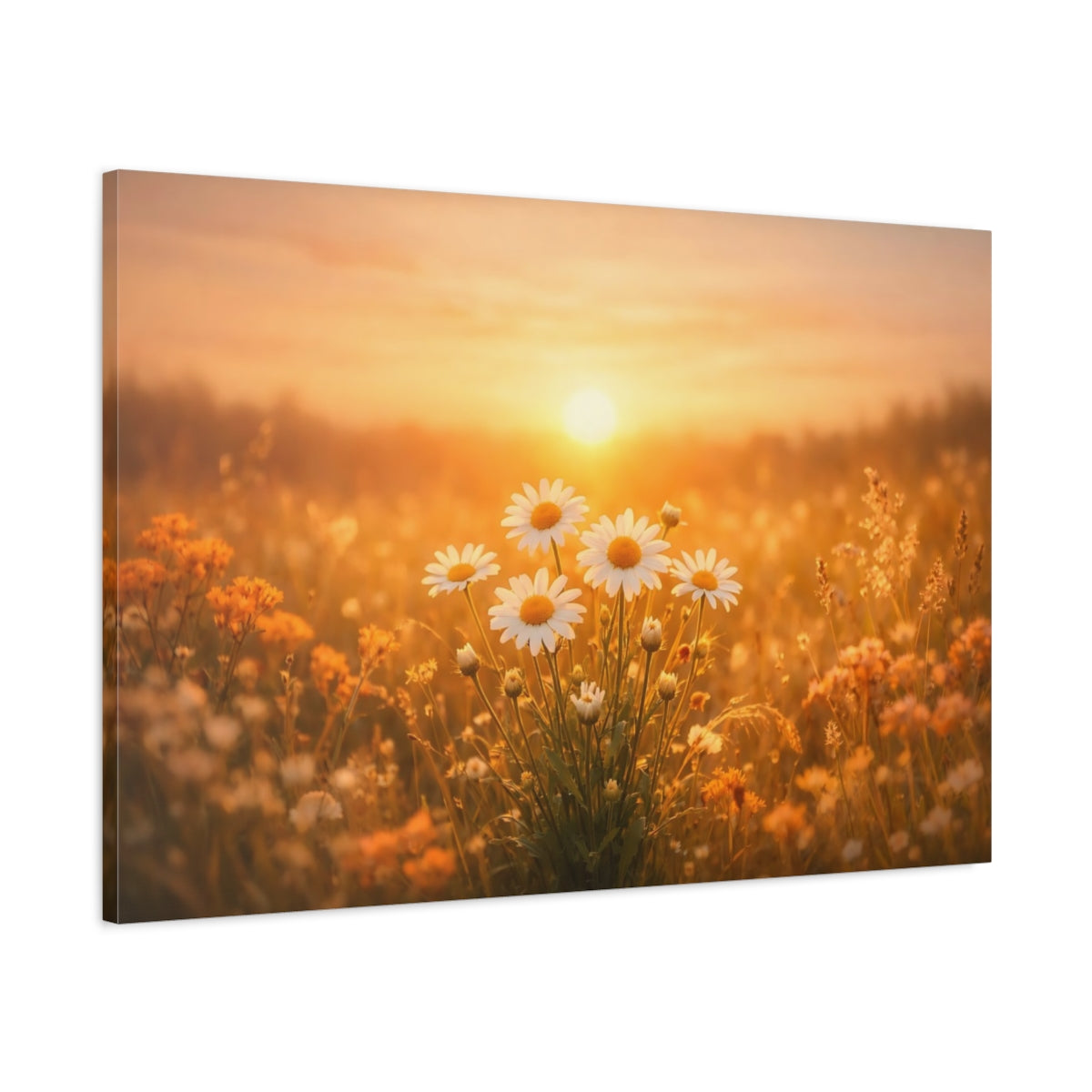 Golden Glow Sunset Flowers Daisies Floral - Canvas Wall Art Print