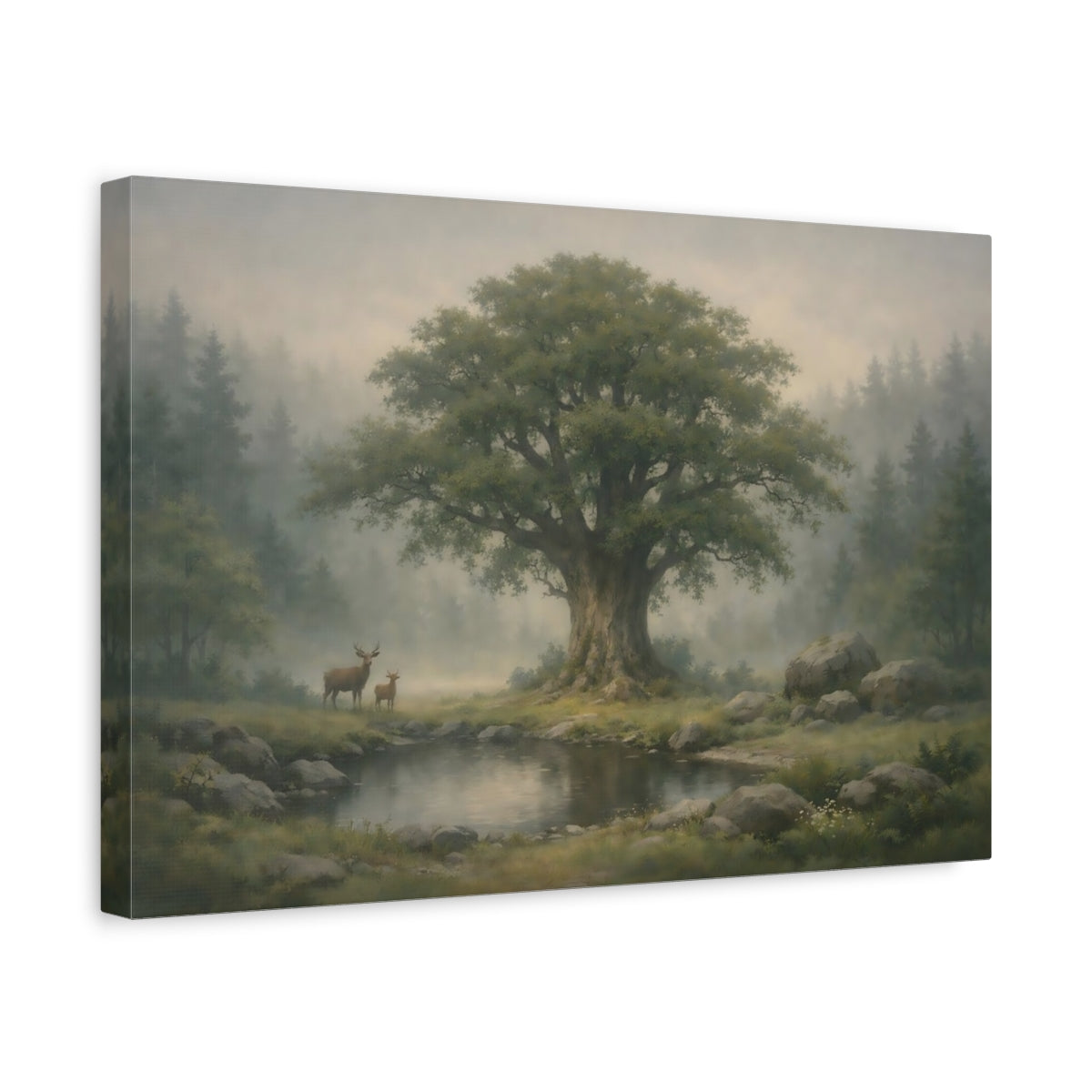 Funny Foggy Forest Ancient Tree Nature - Canvas Wall Art Print