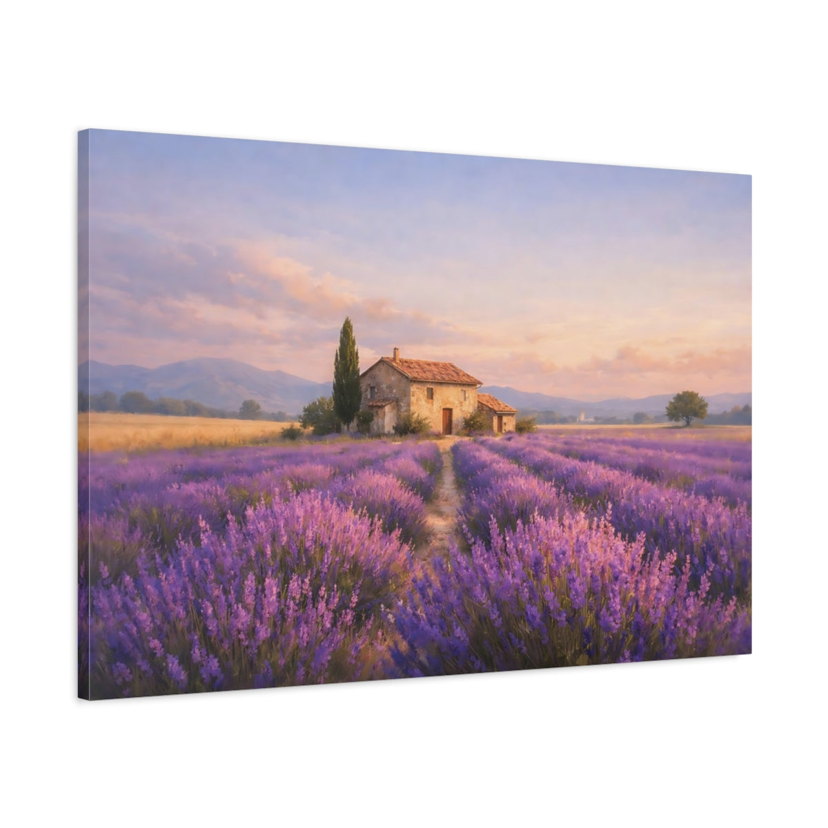 Contemporary Provence Lavender Field Nature - Canvas Wall Art Print