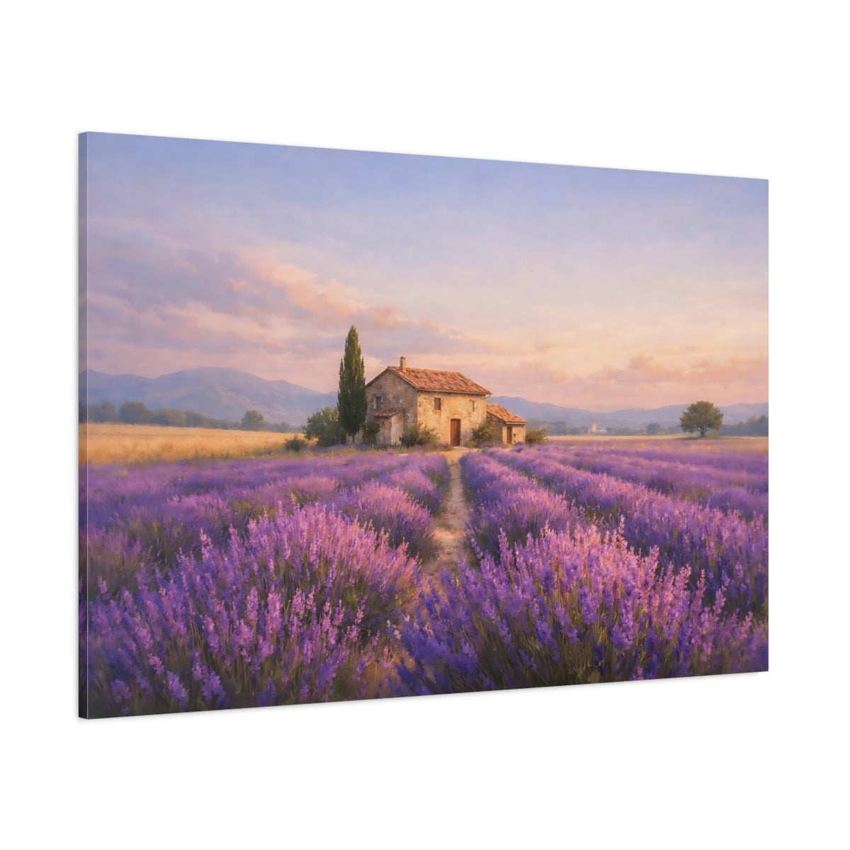 Contemporary Provence Lavender Field Nature - Canvas Wall Art Print