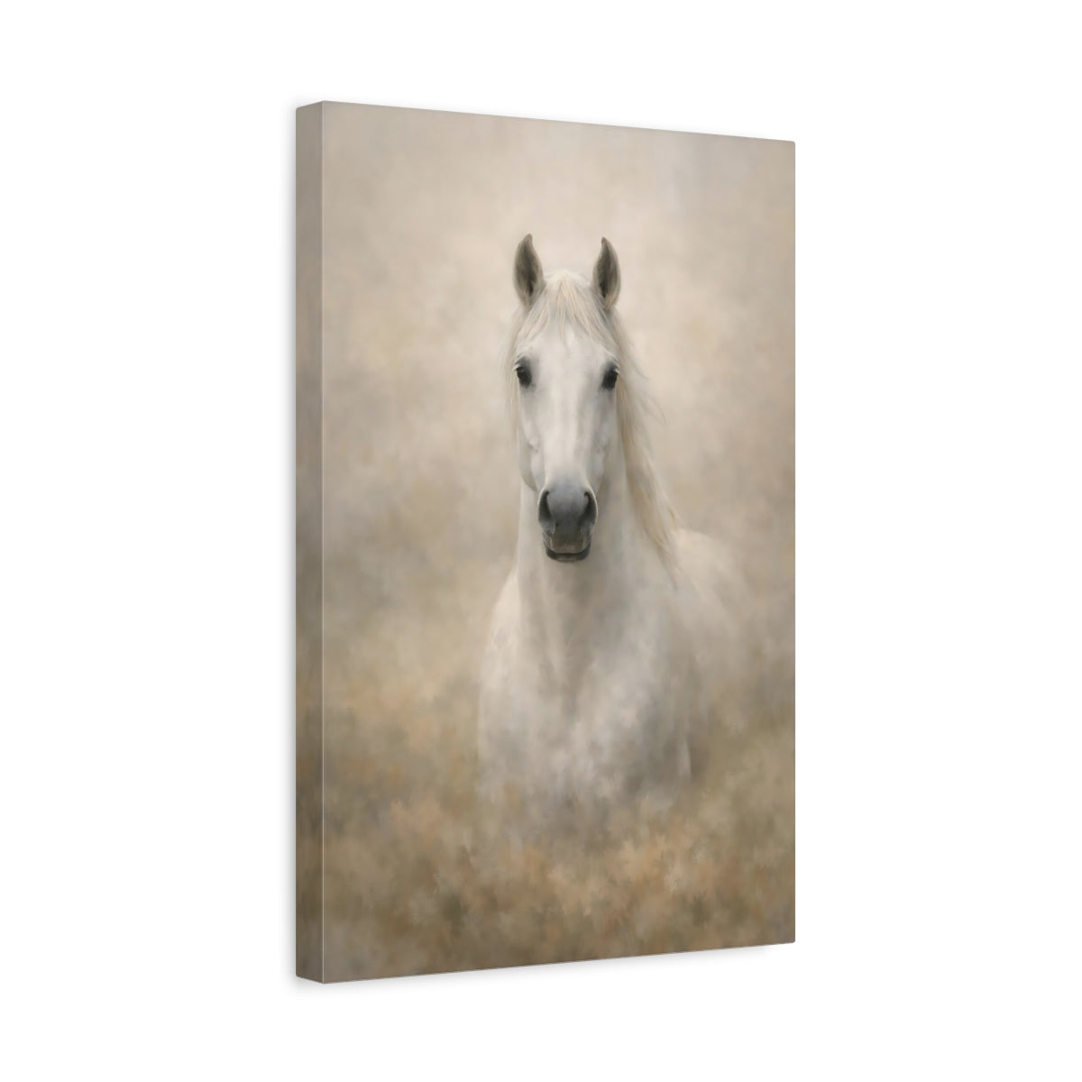 Animals White Horse - Canvas Wall Art Print