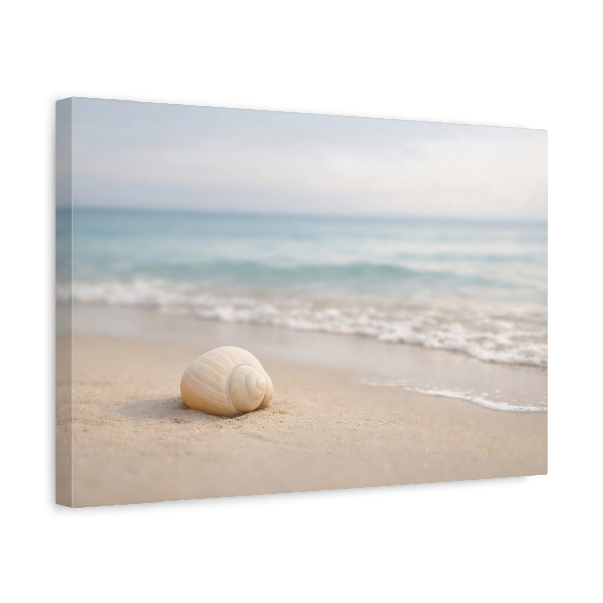Modern Beach Neutral Seashell Nature - Canvas Wall Art Print