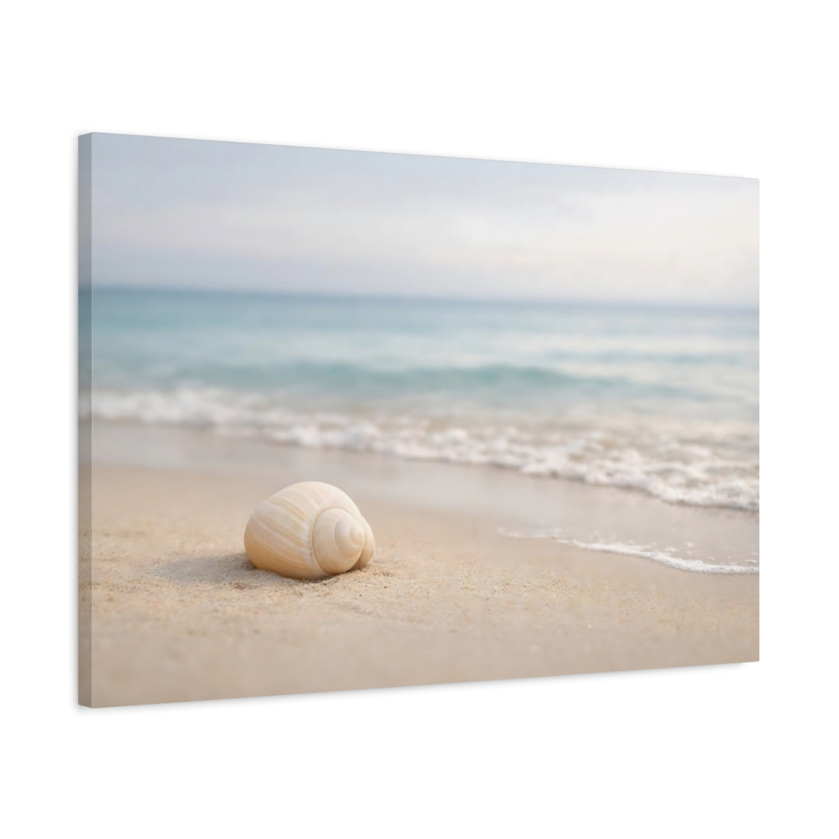 Modern Beach Neutral Seashell Nature - Canvas Wall Art Print