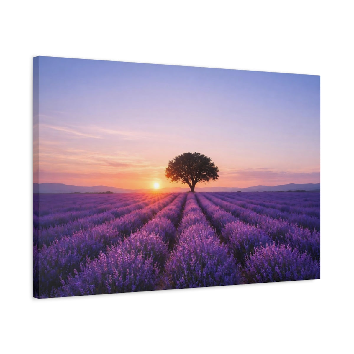 Nature Lavender Field - Canvas Wall Art Print