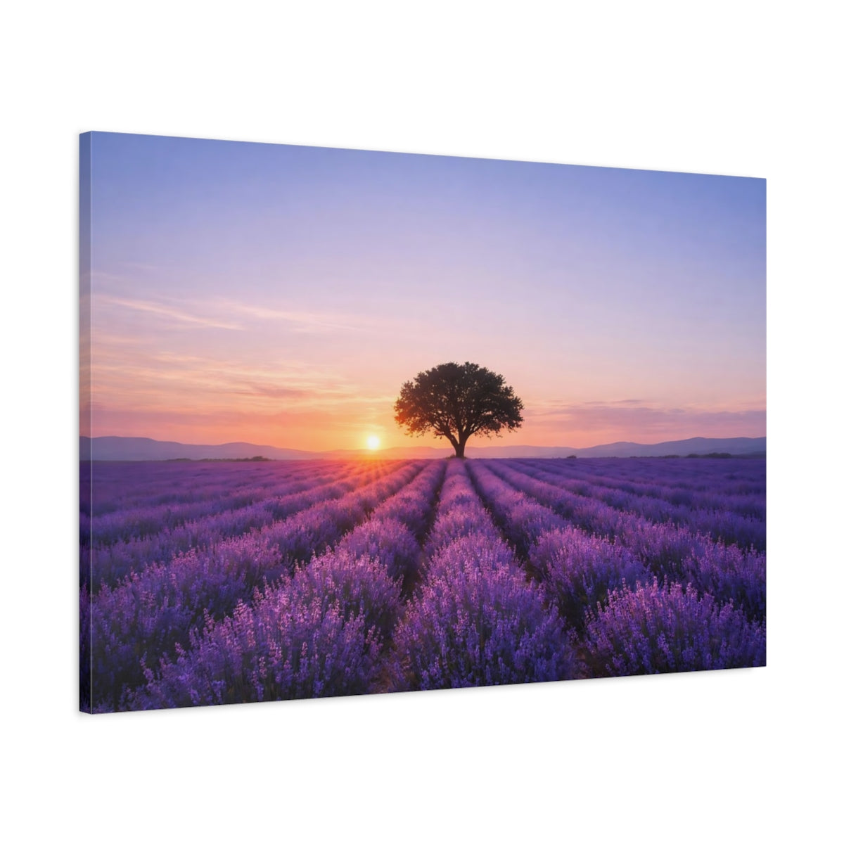Nature Lavender Field - Canvas Wall Art Print