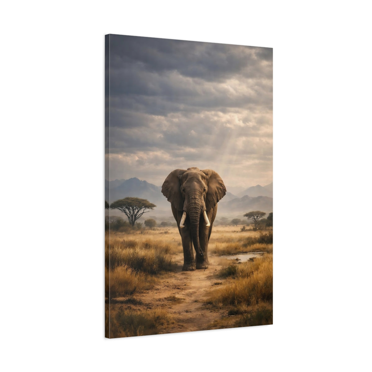 Side Mockup 1. Animals Elephant Earthy Elephant shown as stretched canvas wall art