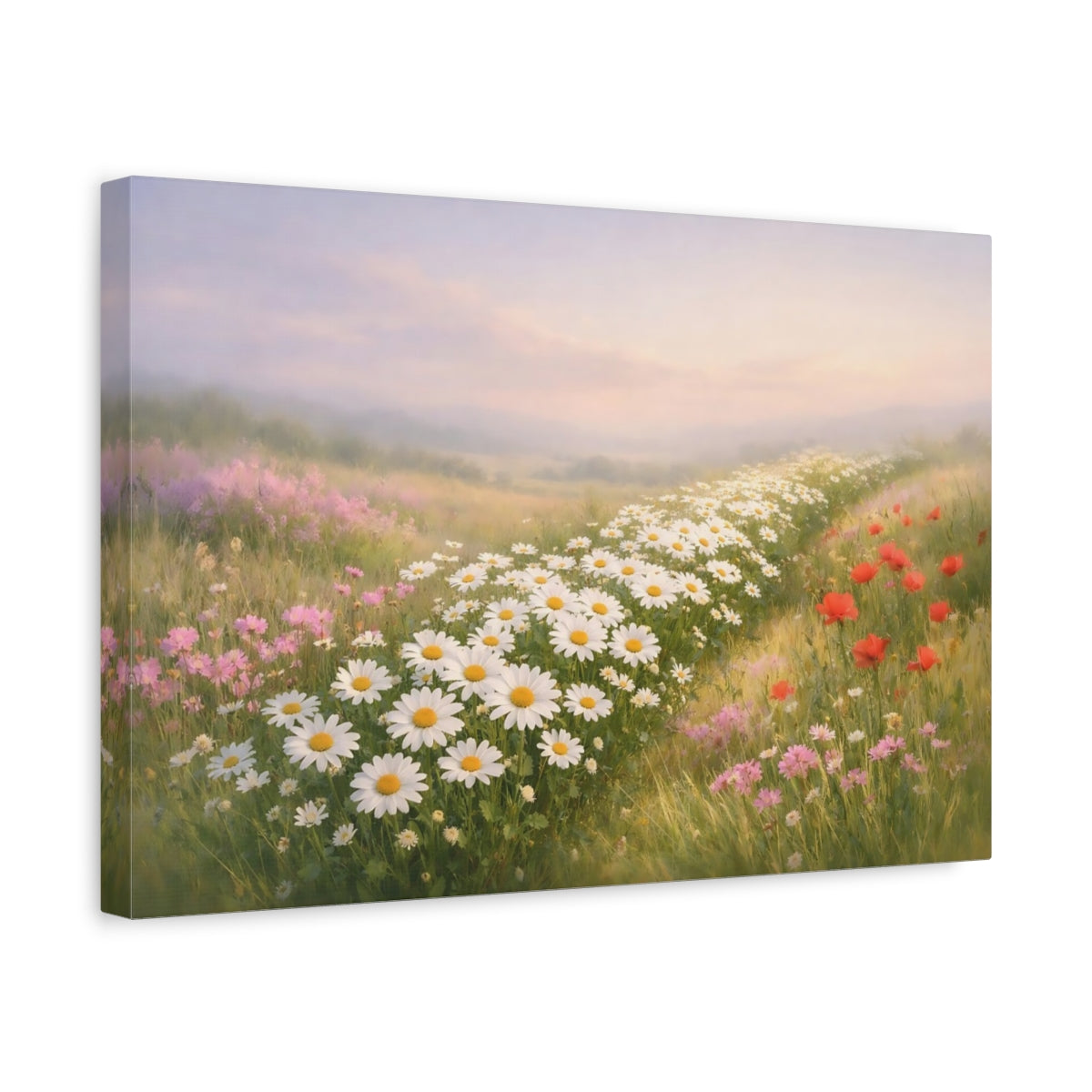 Nature Flower Field Daisies - Canvas Wall Art Print