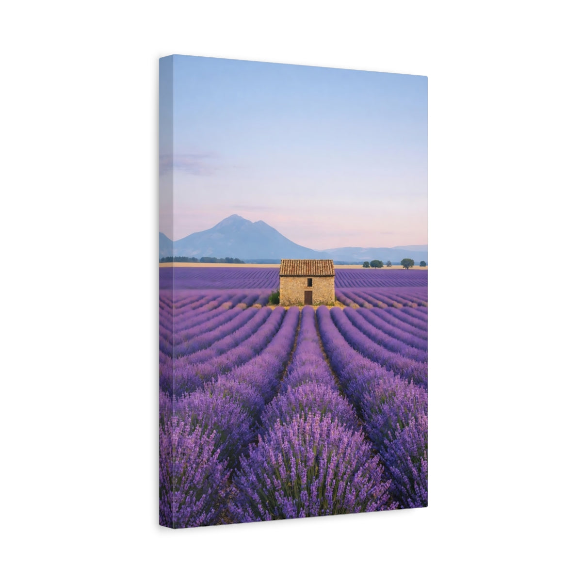 Nature Lavender Field Purple - Canvas Wall Art Print