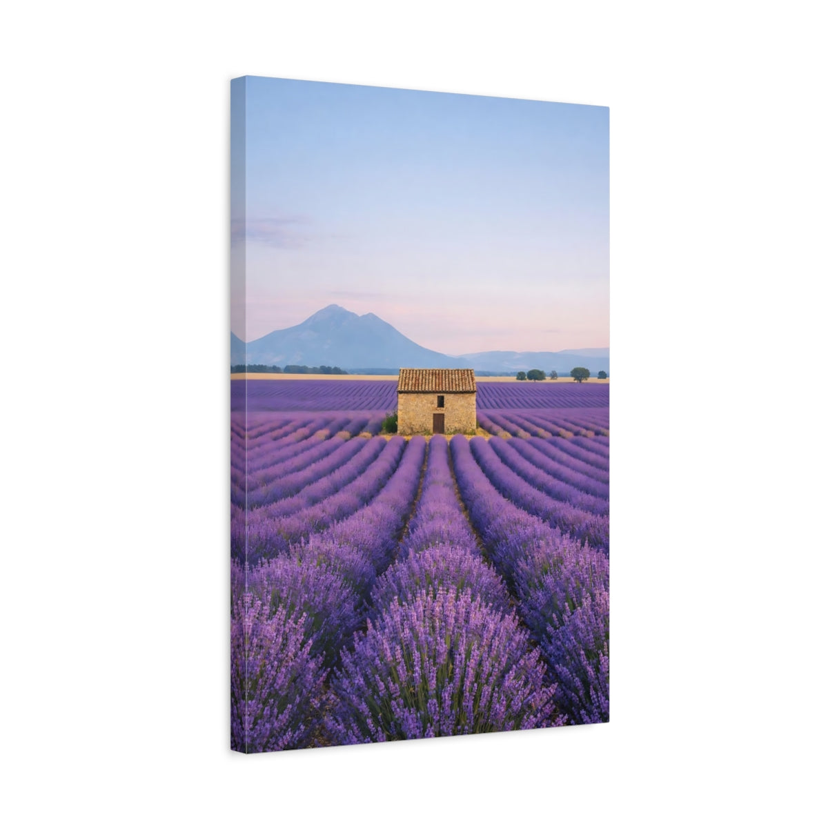 Nature Lavender Field Purple - Canvas Wall Art Print