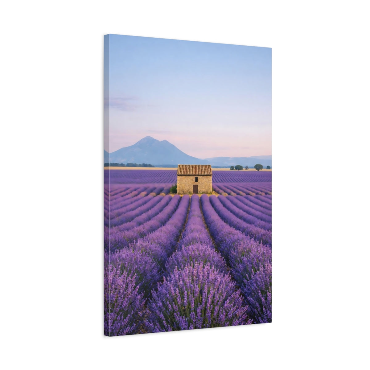 Nature Lavender Field Purple - Canvas Wall Art Print