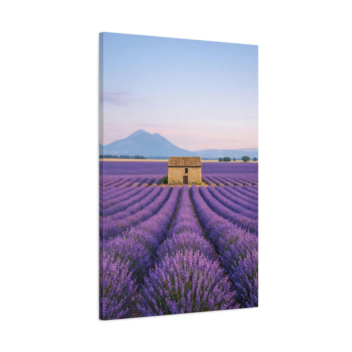 Nature Lavender Field Purple - Canvas Wall Art Print