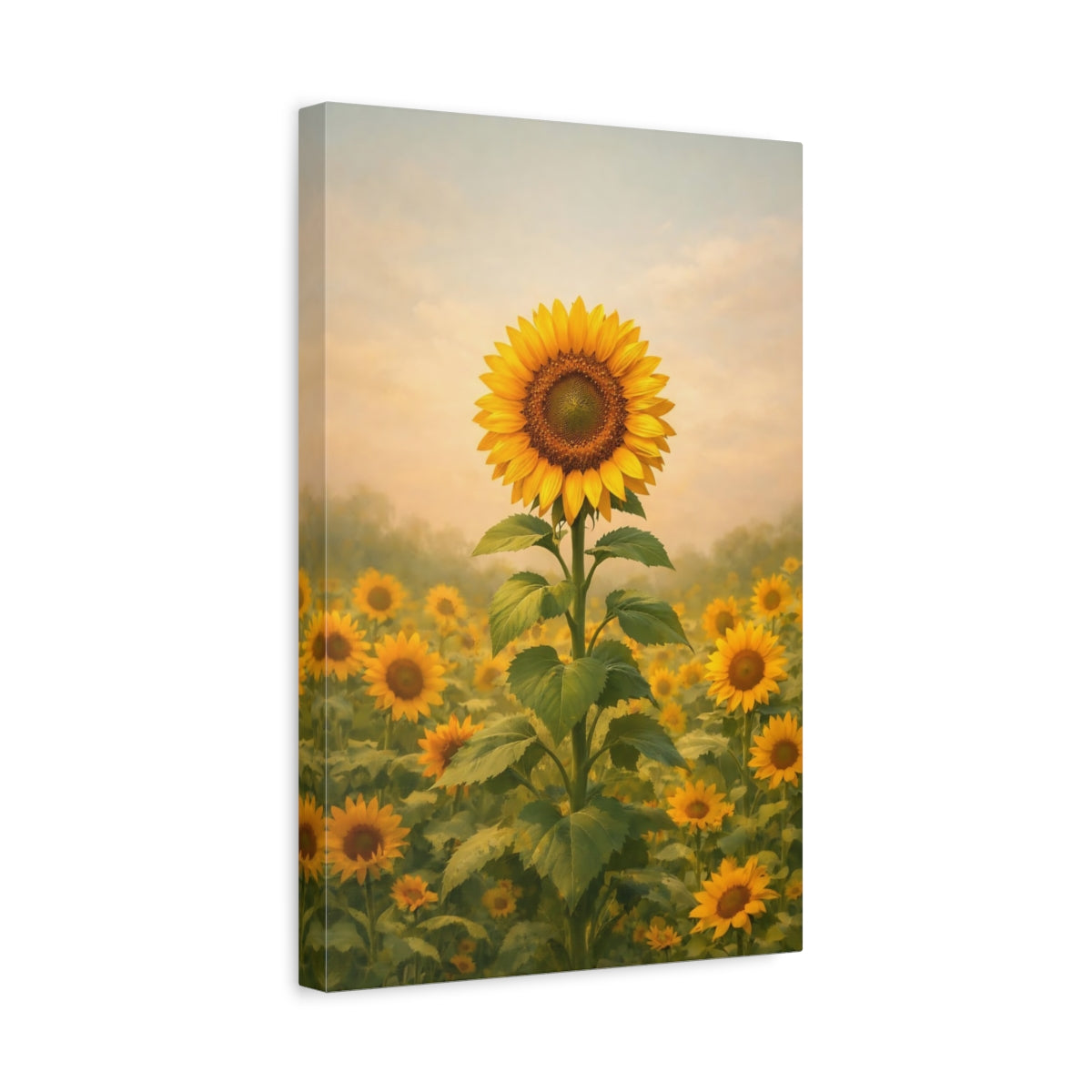Floral Sunflower Yellow Field - Canvas Wall Art Print